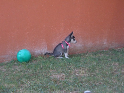 ya me canse de jugar